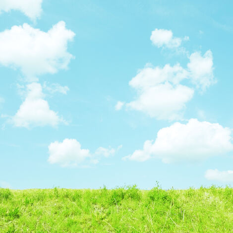 pixta_49433402_M